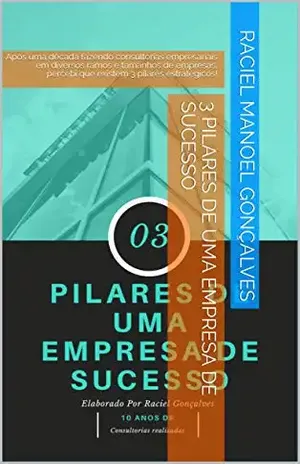 3 Pilares de uma empresa de sucesso: Após uma década fazendo consultorias empresariais em diversos ramos e tamanhos de empresas, percebi que existem 3 pilares estratégicos! - Raciel Manoel Gonçalves