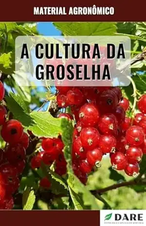 A CULTURA DA GROSELHA: Do plantio a colheita – DARE AGRO