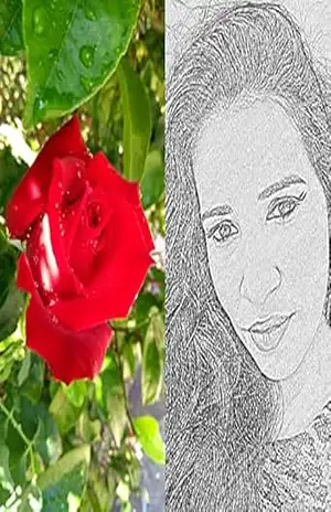 A VIDA É MAIS GENTIL COM POESIA – FERNANDA  RODRIGUES