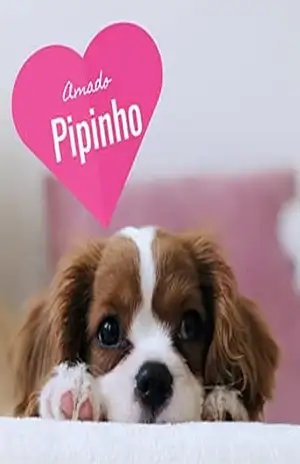 Amado Pipinho – Daniel  Santos