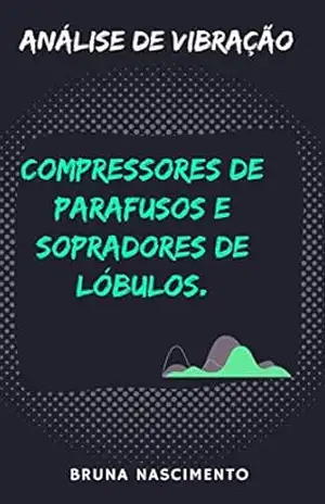 Análise de Vibração Compressores de parafusos e Sopradores de Lóbulos – Bruna Nascimento