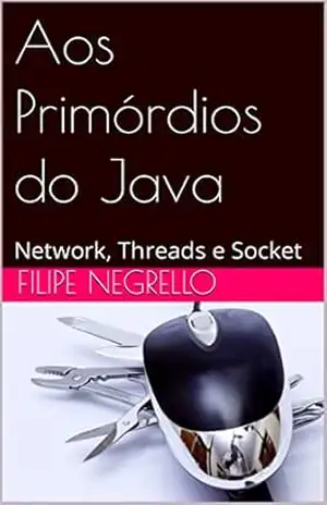 Aos Primórdios do Java: Network, Threads e Socket – Filipe  Negrello