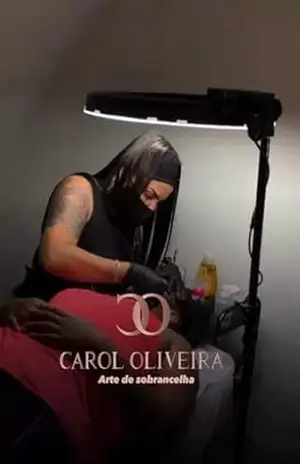 Arte de Sobrancelhas: Domine Técnicas Profissionais - Carol  Oliveira