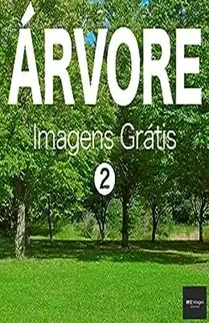 ÁRVORE Imagens Grátis 2 BEIZ images – Fotos Grátis – BEIZ images