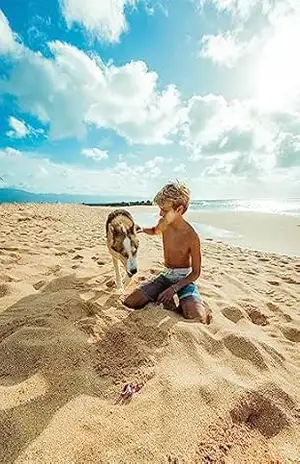 As aventuras de Kaleo: Kaleo e as Aventuras com Kira: Uma Cachorrinha Dócil e Parceira – Igor Leocadio
