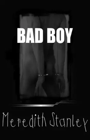 Bad Boy - Meredith Stanley