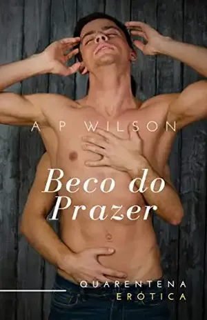 Beco do Prazer [Conto Erótico] - A P Wilson