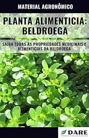 BELDROEGA | Propriedades medicinais e alimenticias – DARE AGRO