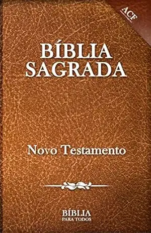 Bíblia Sagrada: O Novo Testamento – Nélio Nunes
