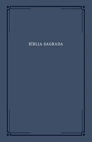 Bíblia Slim NVI, Letra Grande, Capa azul, Barroca – Thomas Nelson Brasil