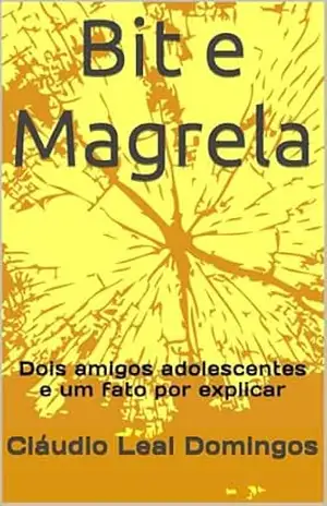 Bit e Magrela: Dois amigos adolescentes e um fato por explicar – Cláudio  Leal Domingos