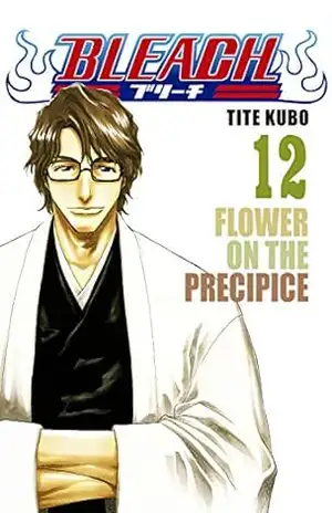 Bleach vol. 12 – Tite Kubo