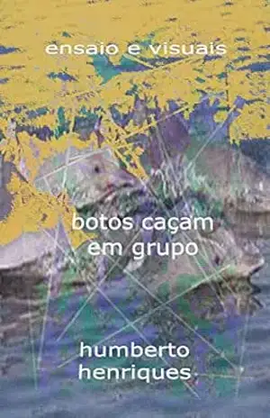 botos caçam em grupo – JOSE HUMBERTO  da Silva HENRIQUES