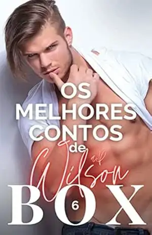 (BOX 6) Os Melhores Contos Gays de A P Wilson – A P Wilson