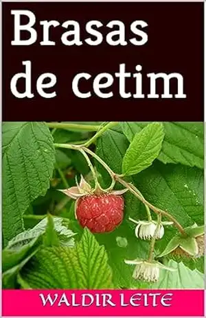 Brasas de cetim – Waldir Leite