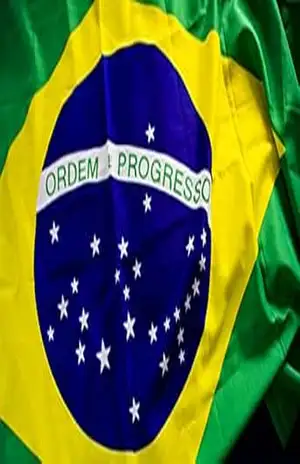 Brasil no Divã - Guilherme Bacchin