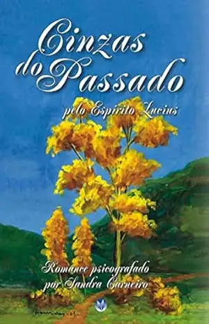 CINZAS DO PASSADO - Sandra  Carneiro