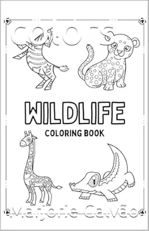 colors – Marjorie Galvão