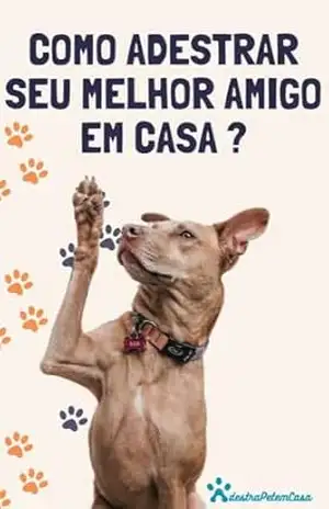 Como adestrar seu melhor amigo em casa? – Anderson Kleber