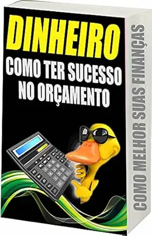 COMO TER SUCESSO NO ORÇAMENTO: COMO MELHOR SUAS FINANÇAS – R.  Netto
