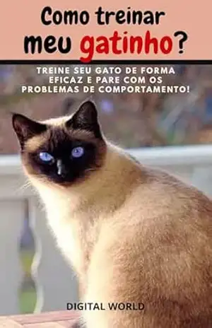 Como Treinar meu Gatinho? – Digital World
