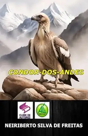 Condor–dos–andes – Neiriberto Silva De Freitas
