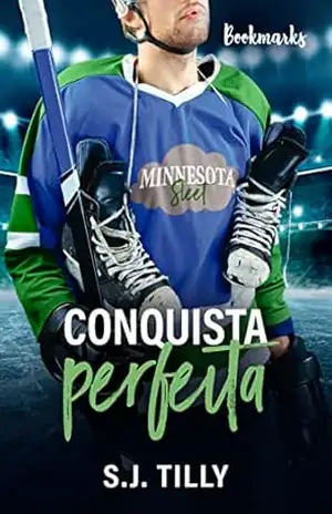 Conquista perfeita (Sleet Livro 1) - S.J. Tilly