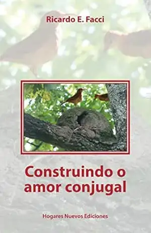 Construindo o amor conjugal (Por um Lar novo Livro 1) - Ricardo E. Facci