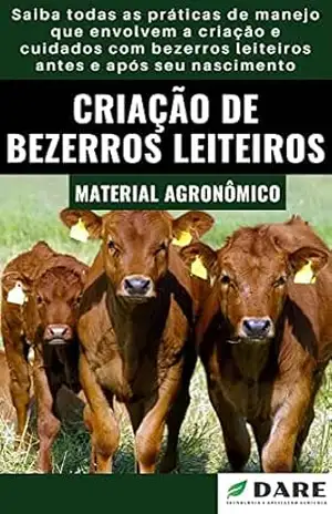 CRIAÇÃO DE BEZERROS LEITEIROS | Todos os cuidados, antes e após o nascimento – DARE AGRO