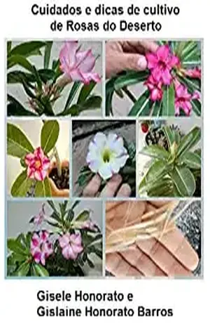 Cuidados e dicas de cultivo de Rosas do deserto – Gisele Honorato