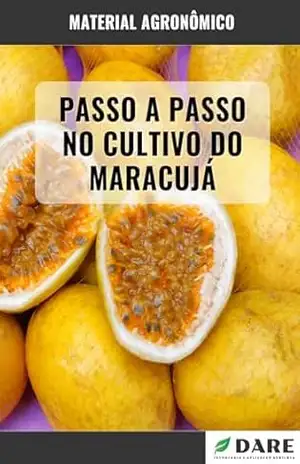 CULTIVO DO MARACUJA: Passo a passo – DARE AGRO