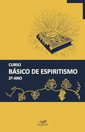 CURSO BÁSICO DE ESPIRITISMO 2º ANO – Equipe de Educadores da Área de Ensino Federação Espírita do Estado de São Paulo
