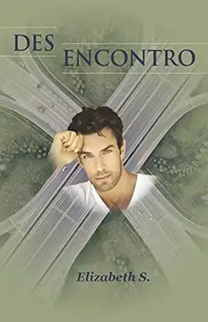 Des/Encontro – Elizabeth S.