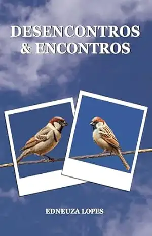 Desencontros e encontros – Edneuza Lopes