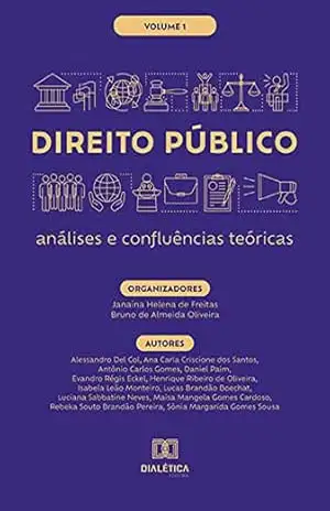 Direito Público – análises e confluências teóricas: Volume 1 – Janaína Helena de Freitas