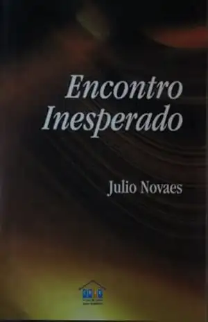 ENCONTRO INESPERADO – JULIO NOVAES