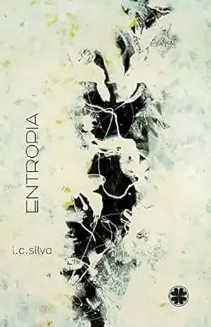 Entropia – I. C.  Silva