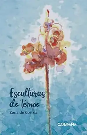 Esculturas do tempo – Zenaide Corrêa