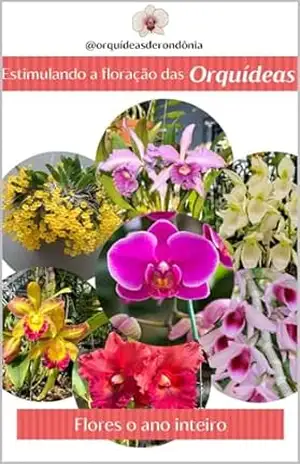Estimulando a Floração nas Orquídeas – Antonio Eliab