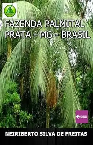 Fazenda Palmital Prata–mg–brasil – Neiriberto Silva De Freitas
