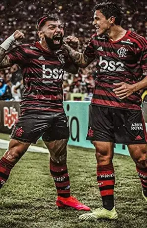 FLAMENGO 2020: A SAGA CONTINUA: A BOLA NÃO ENTRA POR UM ACASO – ZÉLIO  CABRAL