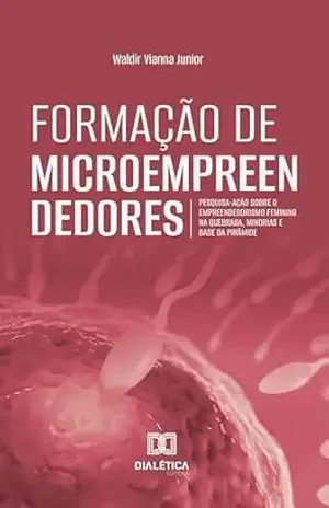 Formação de Microempreendedores: pesquisa–ação sobre o empreendedorismo feminino na Quebrada, Minorias e Base da Pirâmide – WALDIR VIANNA JUNIOR