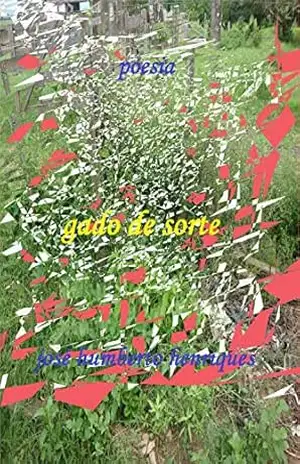 Gado de Sorte – José Humberto da Silva Henriques
