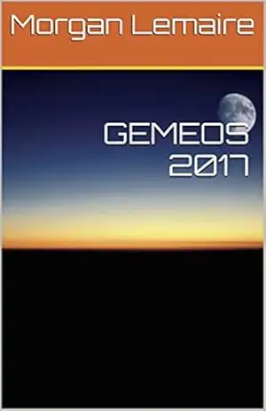 GEMEOS 2017 – Morgan Lemaire