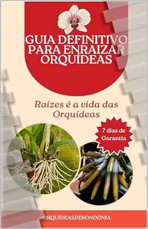 Guia Definitivo para enraizar Orquídeas – Antonio Eliab