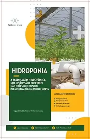 HIDROPONIA: A jardinagem hidropônica é uma opção viável para quem não tem espaço ou solo para cultivar um jardim ou horta – Daniel Assis