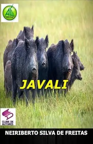 Javali – Neiriberto Silva De Freitas