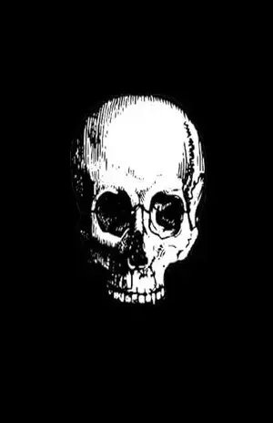 maze morte; você pode sobreviver? – Winter Fox