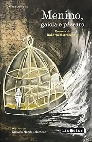 Menino, gaiola e pássaro: poemas de Roberto Marcantonio – obra póstuma - Eudóxia Mendes Machado