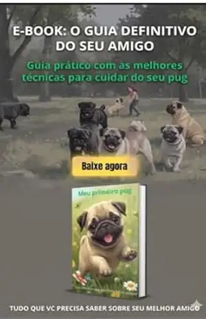 Meu primeiro PUG – Admalcio  K